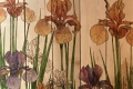Irises-copy