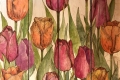 Tulips-Color-copy